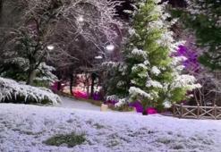 Sivas'a Nisan sürprizi: Gece vakti şehir merkezinde görüldü!