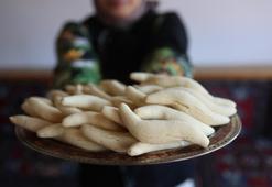 Çankırı'nın tescilli lezzeti! Ehlibilir kurabiyesinin tadına doyum olmuyor