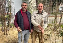 25 yıldır İzmir'den Denizli'ye giderek yapıyor! Sayılı günler sonra bitiyor