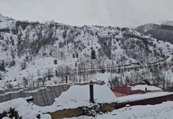 Erzincan'da Nisan bitmeden görüldü: Refahiye'de görenler şaşkına döndü