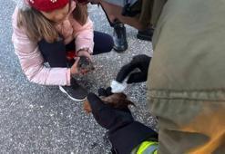 Düzce’de kanala düşen iki yavru kedi kalp masajıyla hayata döndü
