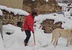 Bahar beklerken kar geldi! Lapa lapa yağdı, Erzincan beyaza büründü