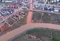 Sivas'ta bu yıl da oldu: Baharın gelişini müjdeledi
