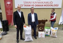 Simav’da tarım seferberliği: 800’den fazla çiftçiye %75 hibeli tohum desteği verildi