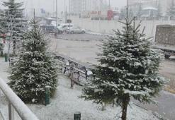Van'da nisan ayında her yer beyaza büründü