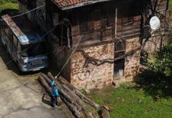 Trabzon'da 30 milyonluk bütçeyle kahverengi kokarcaya karşı büyük mücadele başladı: Üreticiye uyarılar peş peşe geldi: 35 yıl sürebilir, hazırlıklı olun