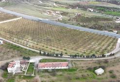 Malatya'da kayısı üreticileri zirai dona karşı önlem alıyor