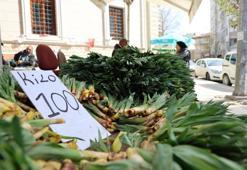 Doğada kendiliğinden yetişiyor, doğal bir antibiyotik! Fiyatı 75 liradan 100 liraya çıktı