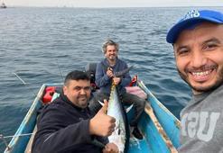 İskenderun Körfezi'nde 1 buçuk metrelik dev orkinos ağlara takıldı! 60 kilo geldi, kantar tartamadı