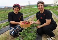 1 dekar alana ilk defa ekti, hayatı bir anda değişti! Kazancı katlandı: Duyan kapısında kuyruk oluyor