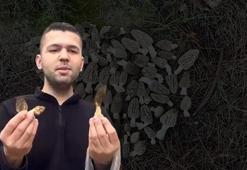 Adana'nın ormanından servet fışkırıyor! Bedavaya toplayıp kilosunu 1.500 TL'den satıyorlar