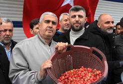 Manisa'da 2026'nın ilk hasadı yapıldı! Kilogramı gram altınla yarışıyor: Don olmadı, verim tavan yaptı, üreticinin yüzü gülüyor