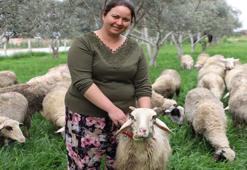 Babasının hediye ettiği bir kuzu hayatını değiştirdi! Oğlu için başladı şimdi patron oldu