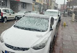 Bingöl'de nisan karı etkili oldu!