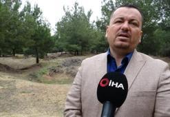 Çanakkale Savaşı'nda İngilizlerin Osmanlıca broşürleri ortaya çıktı! Türk askerine saf değiştir çağrısı! 'Düşmanımız siz değil, Almanlar'