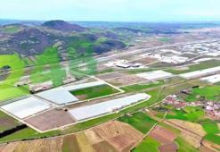 Modern tarımın yeni adresi Samsun'un bu ilçesi oldu! Karadeniz'de başarı hikayesi yazılıyor