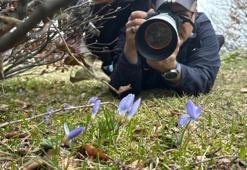 Kocaeli'de bu yıl da görüldü: Foto safariyle ölümsüz kareler yakalandı
