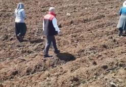 Elazığ'da 160 dekar alanda başladı: Merkez Sürsürü Mahallesi'nde üretilecek