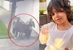 Bursa'da 7 yaşındaki Yüsra'nın hastanede ölümüyle ilgili 15 doktor hakkında soruşturma izni