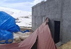Kars'ta kuvvetli rüzgar evlerin çatılarını uçurdu