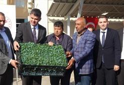 Kilis'te çiftçilere büyük destek: Yüzde 50 hibeli olarak dağıtıldı