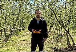 Sakarya'da internetten bulup yaptı! 4 kişinin yaptığı için 3 saatte bitiriyor