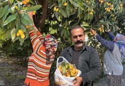 Talep azalınca bedava dağıttı! Alanya'da poşetini kapan bahçeye koştu