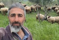 Artık koyunlar üçüz, dördüz, beşiz doğuruyor! Hayvancılık yapan dahi kardeşler verimi katladı
