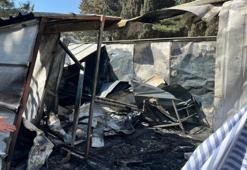 Malatya'da 45 yıllık meslek ustasından gençlere tavsiye!