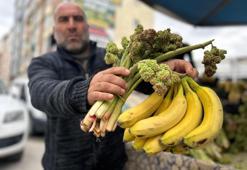 Van'ın çarşı pazarında tezgahlar yayla muzu ile renklendi: İthal muzdan daha pahalı