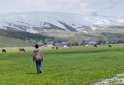 Ağrı'da iki mevsim bir arada! Şehirde kısa mesafede yaşanan iklim farkı şaşırtıyor