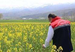 Samsun'da 4 ilçeye hem destek hem inceleme! TAKE projesi devrede