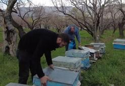 Kars'ta dede mesleği yaşatılıyor: Bölgenin köklü geçim kaynağında yeni sezon başladı