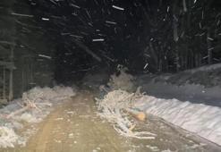 Kastamonu'da hava sıcaklığı düştü kar yağışı etkili oldu