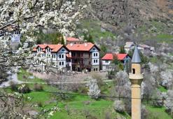 Gümüşhane Süleymaniye'de kar ve çiçek aynı karede: Şehir merkezine 10 dakika mesafedeki cennet keşfedilmeyi bekliyor!