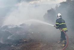 Hatay Hassa'da zeytinlik yangını çıktı