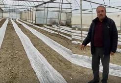 Burdur'da don uyarısına karşı seracılardan tüllü önlem