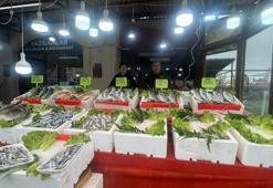 Balıkçı tezgahlarında çeşit bitti, mezgit fiyatı 500 liraya çıktı