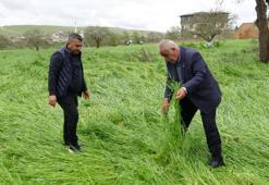 Gaziantep'te hububatı ‘süper hücre' vurdu