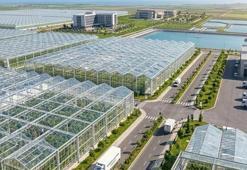 Konya'da bir ilk! 1000 kişiye iş kapısı açılıyor: Dev projede ilk adım atıldı