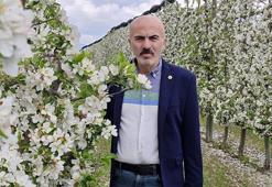 Karamanlı üreticinin yüzü gülüyor, asrın rekoru geliyor! Tarihte böylesi görülmedi