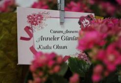 Anneler Günü ne zaman? Anneler Günü'ne kaç gün kaldı? Anneler Günü nasıl ortaya çıktı