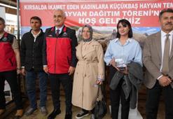 Kadın üreticilere 3 bin küçükbaş hayvan desteği! Proje kapsamında dağıtımlar başladı