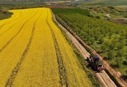 Hasat dönemi yaklaşıyor belediye üreticiler için harekete geçti