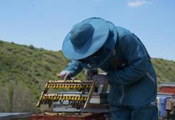 1200 bitkinin ortasında üretiyor! Ankara’da bir kanyonda başladı, tüm Türkiye’ye satıyor