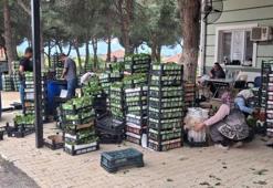 Üzümden önce parası geldi: Manisa'da kilosu 100 liradan kapış kapış gidiyor!