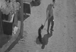 İzmit'te vahşet! Köpeği demir sopayla öldürdü; o anlar kamerada