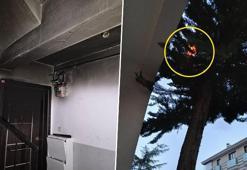 Keçiören'de ilginç ağaç yangını! İtfaiye 'tehlike yok' dedi, birkaç saat sonra binaya sıçradı