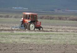 Ardahan’da karlar eridi, çiftçi tarlalara indi! Arpa ve buğdayda rekor verim bekleniyor