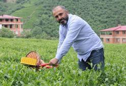 Yaş çay fiyatı belli oldu, gözler oraya çevrildi! Kuru çaya zam mı geliyor?